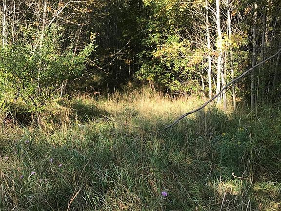 4th image of 3464 Kimberlin Road 20 Acre