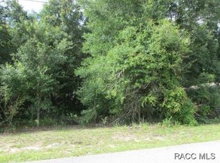 6066 E Peach St, Inverness, FL 34452