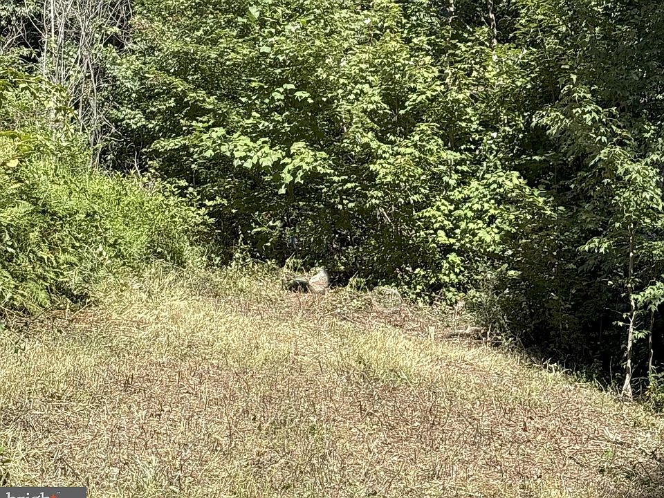1st image of Iroquois Trl