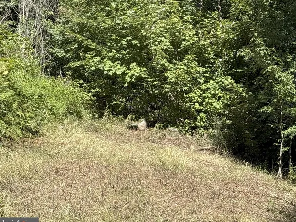 Iroquois Trl, Winchester, VA 22602