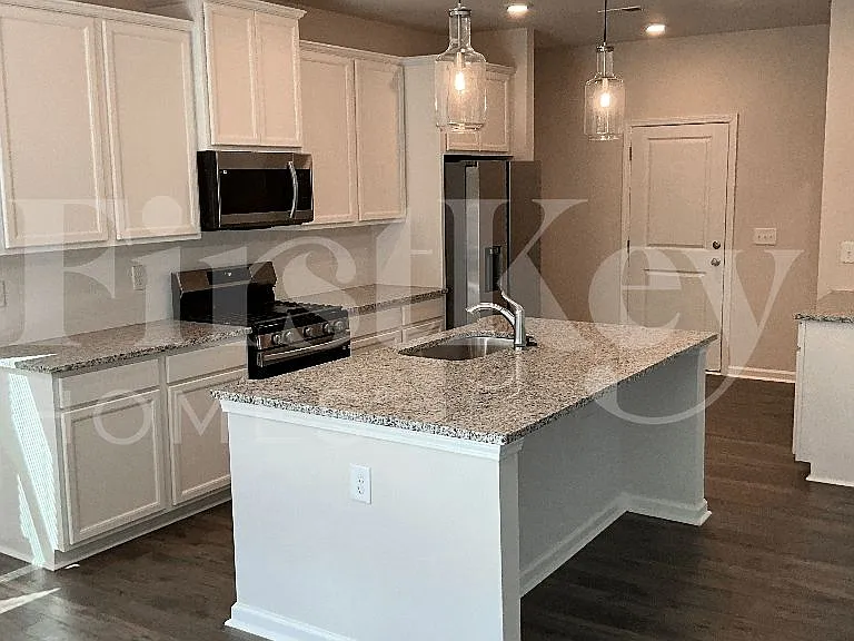 1203 Mission Hill Ln — Photo 4