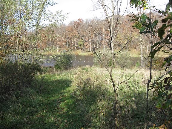 Private trail to the pond