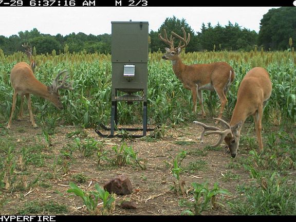 4th image of 0 Native #&-24