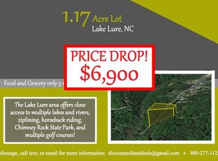 Roadrunner Cir, Lake Lure, NC 28746