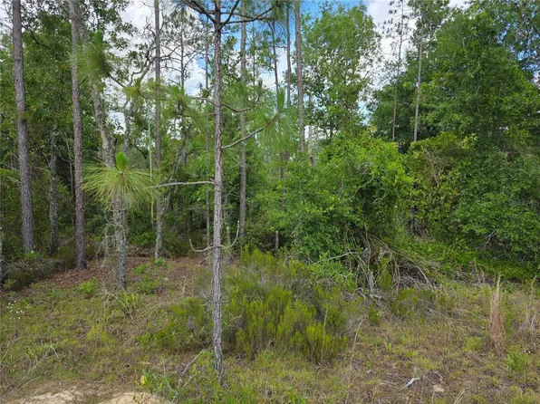 NE 131st Ct #2, Williston, FL 32696