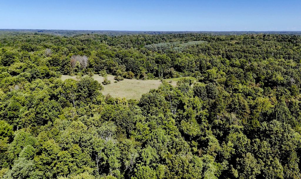 Real estate listing image