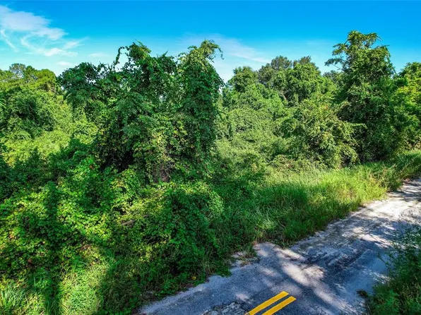 Locust Place Run Lot 5, Ocala, FL 34472