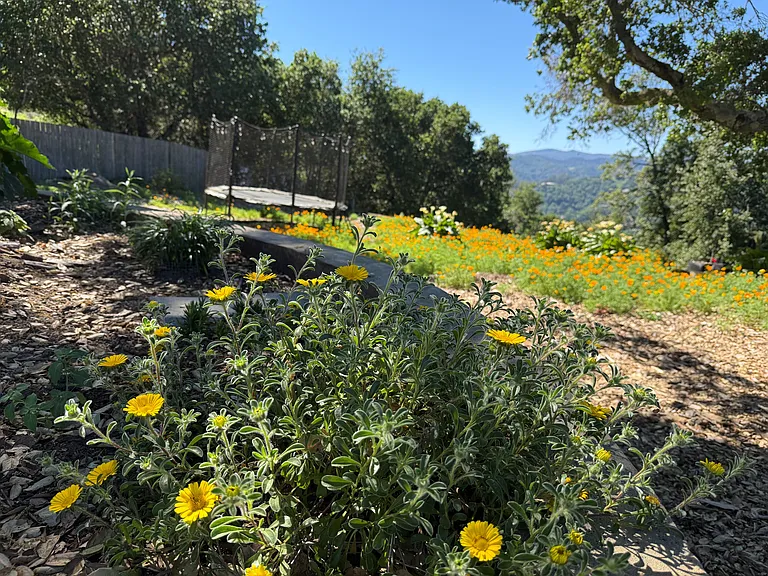 Fawn Dr — Photo 19