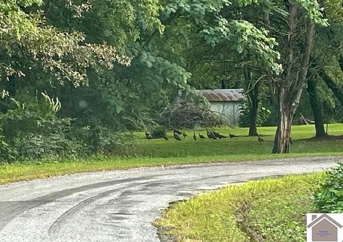 1st image of 8299 State Line Rd E