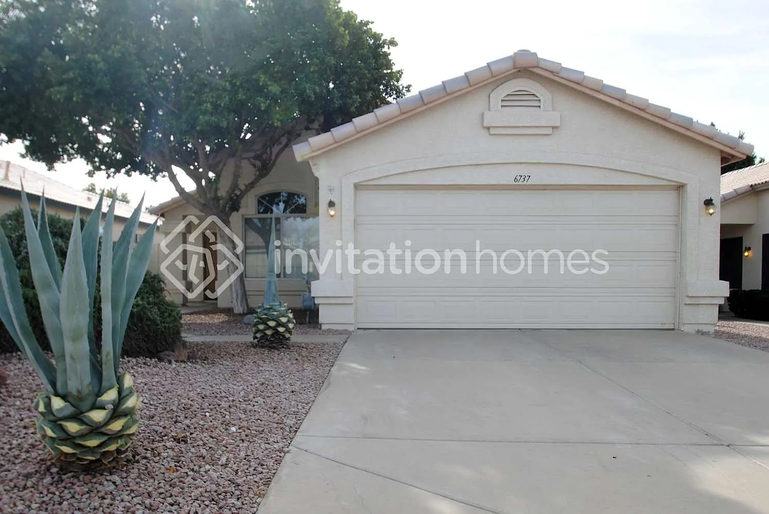 6737 E Norwood St Mesa, AZ 85215 — Photo 1