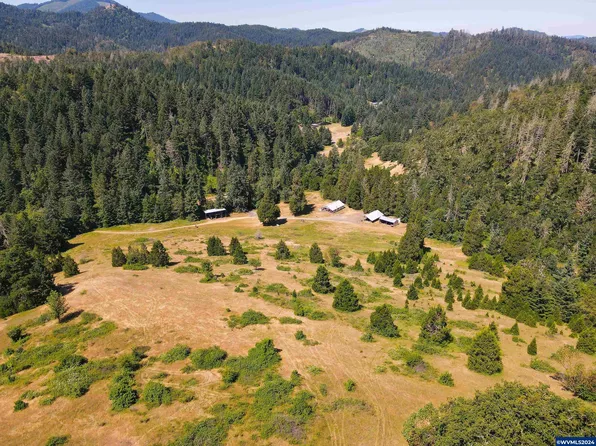 1800 E Willis Creek Rd, Winston, OR 97496