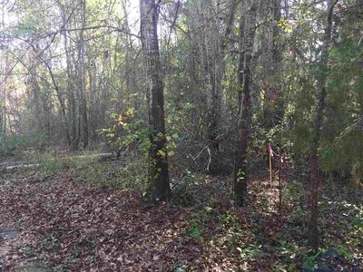 157 Town Road 3 Cres, Overton, TX, 75684