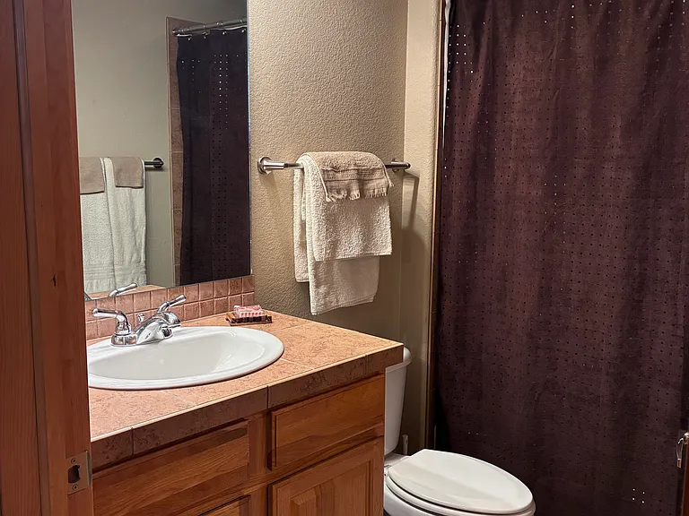 Guest bath with full-sized shower and tub.