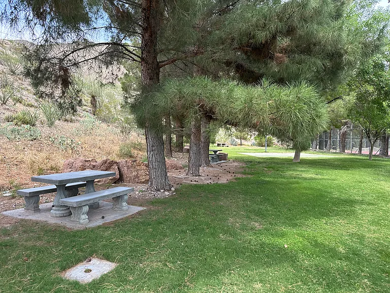 Camelot park