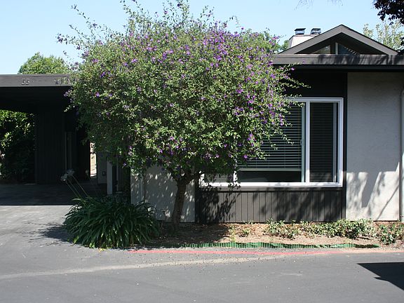 5th image of 55 Gladys Ave