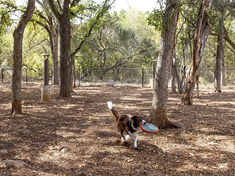 Camden Gaines Ranch — Photo 36