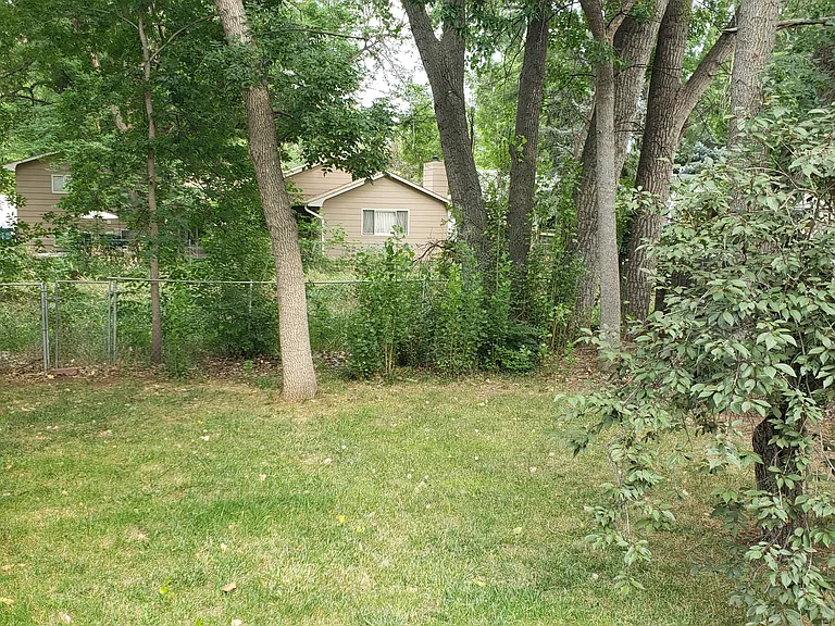 Large fenced backyard- with a separate dog run.