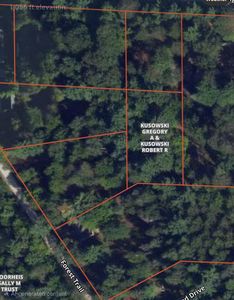 Higgins Wood Dr Lot 1, Roscommon, MI, 48653