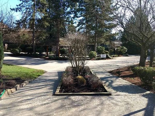 9847 Manchester Dr #105 — Photo 7