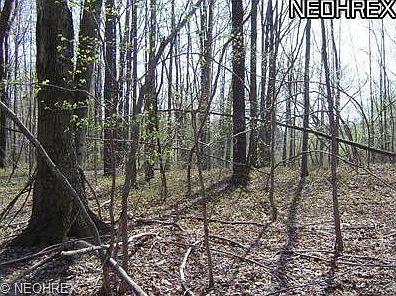 2nd image of 10511 Madison Rd