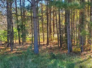 11401 Old Us Highway 64 Spg LOT 3, Spring Hope, NC 27882