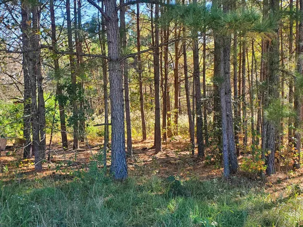 11401 Old Us Highway 64 Spg Lot 3, Spring Hope, NC 27882
