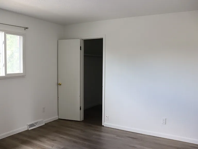 Primary walk-in closet.