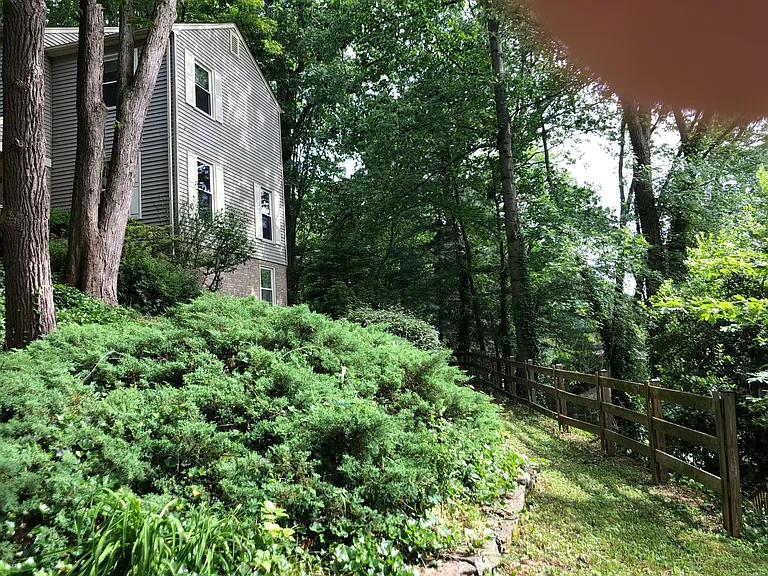 Lower lawn from drive way