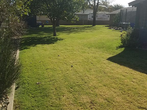 Backyard view; W to E. 