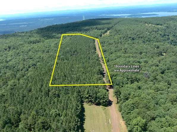 Spring Mountain Airstrip, Dardanelle, AR 72834
