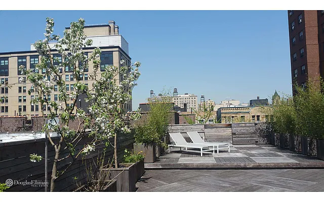 Sold by Douglas Elliman | media 8