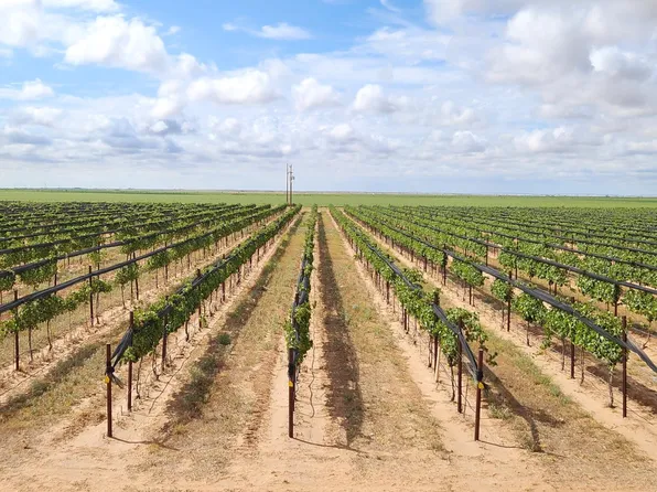 354 Farm To Market Rd #1317, Tahoka, TX 79373