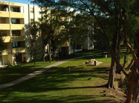 10000 NW 80ct