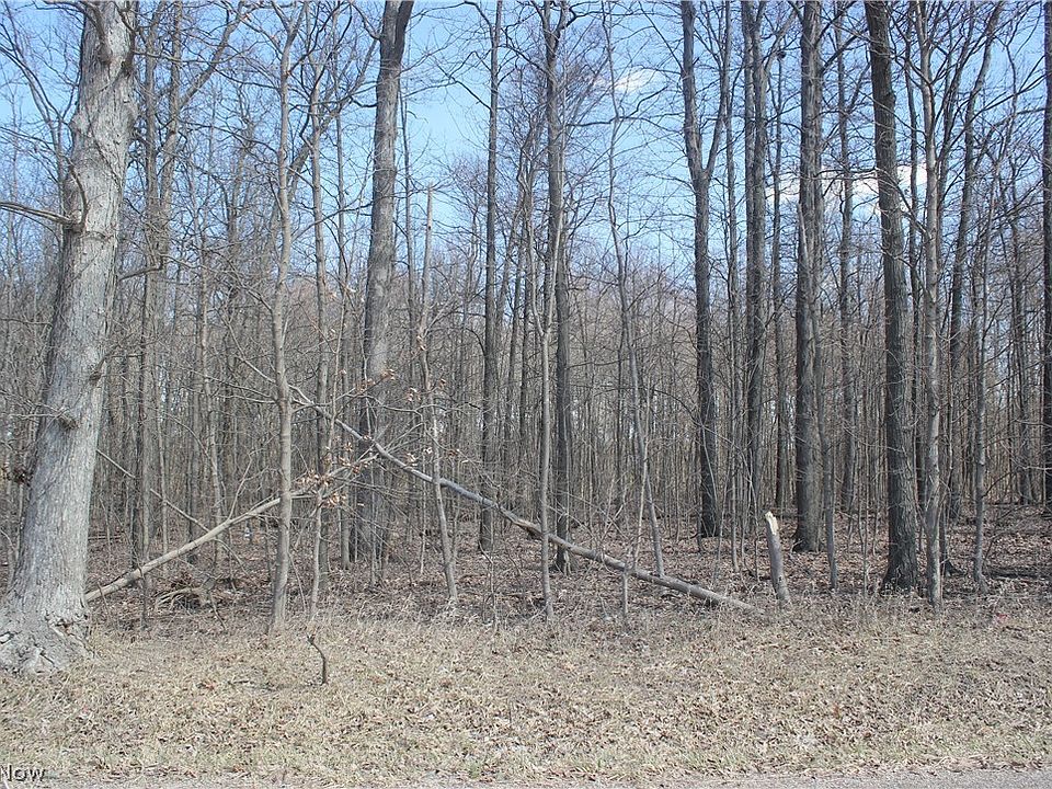 2nd image of County Road 1353