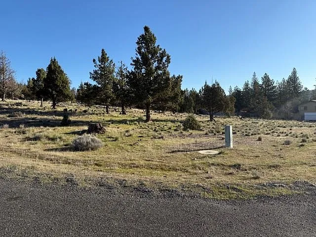 Unit Lake Shastina N Browndeer Rd #4-lot 170 photo 1