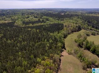 0 Old Highway 431 #1, Wedowee, AL 36278