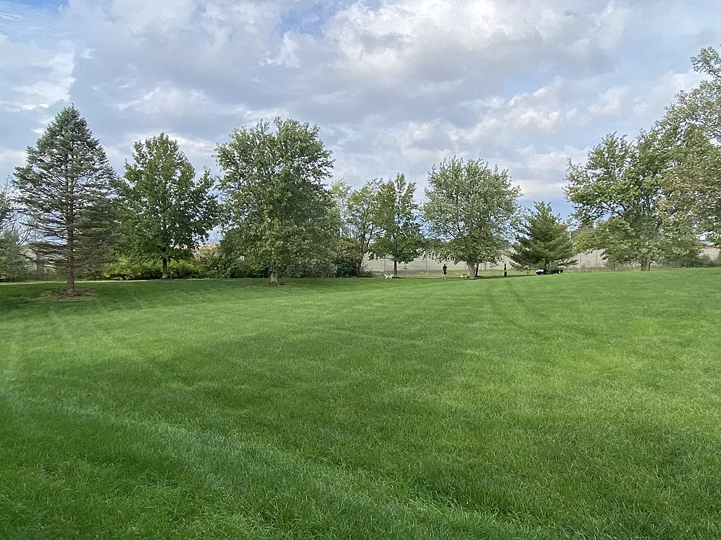 Basswood Apartments — Photo 3