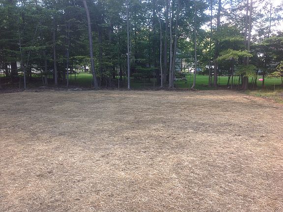 Super Back Yard