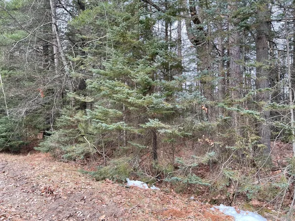 Deer Run Blvd, Houghton Lake, MI 48629