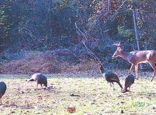 106 Crockrell Rd, Lexington, MS 39095