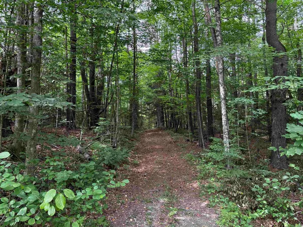 40 E Putney Brook Road Big Pine Lot, Putney, VT 05346
