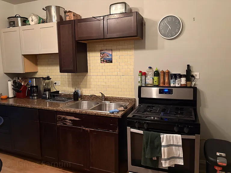 2439 W Logan Blvd #3H — Photo 7