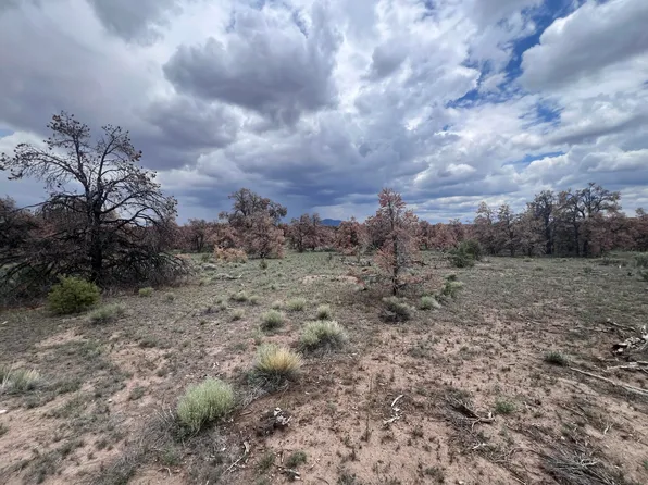 LOT 57 Fountain Hills Rd, Quemado, NM 87829