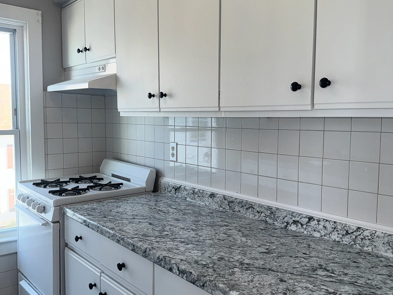 3 bed, 1000 sqft, $1,600 — Photo 4