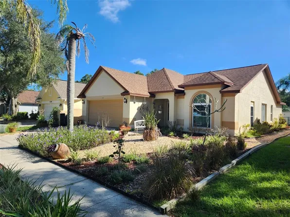 4710 LIGHTERWOOD WAY, VALRICO, FL 33596
