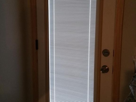 door with miniblinds in between