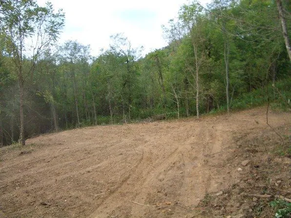 230 Acorn Ln, Gainesboro, TN 38562