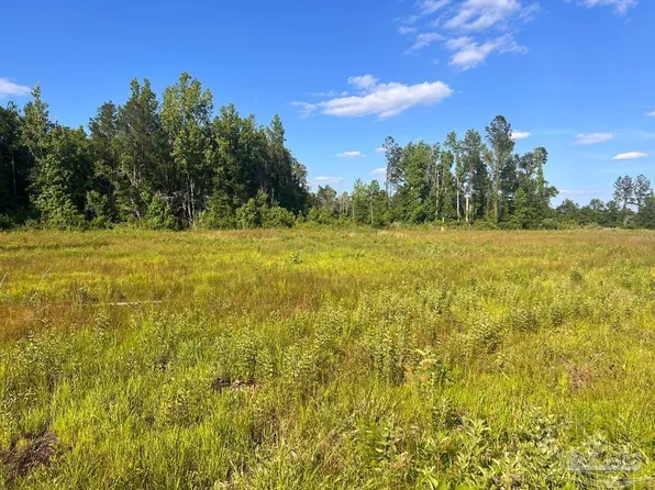 LOT 16 C Hwy #29, Molino, FL 32577