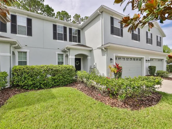 20531 Grand Vista Ln, Tampa, FL 33647
