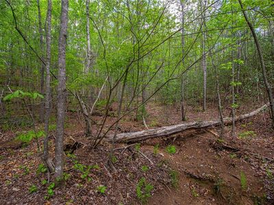 Trct A Antioch Church Rd #A, Dawsonville, GA, 30534